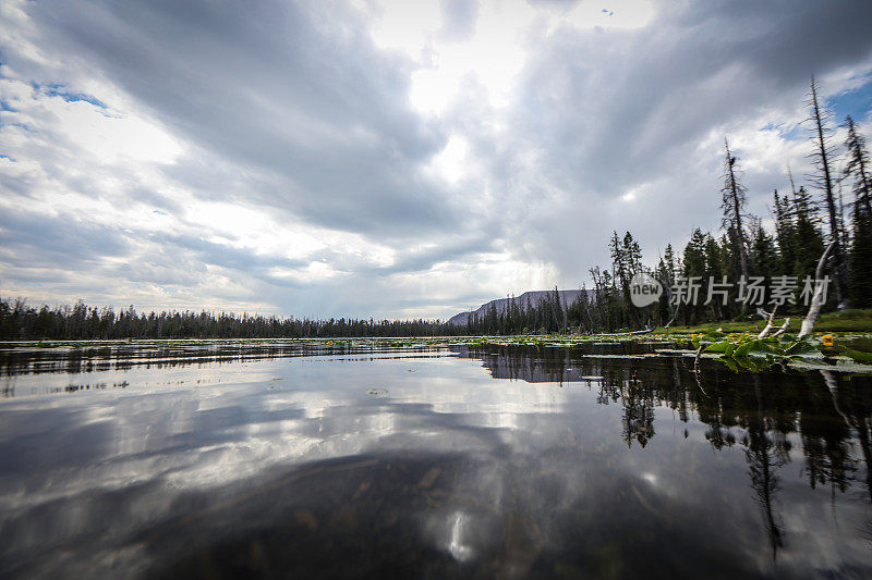 有Lilly Pads的High Uintas Lake